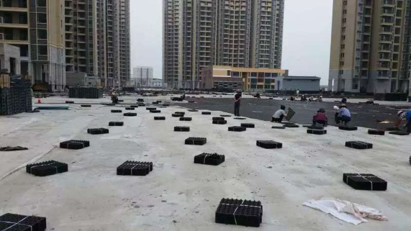 屋頂花台茄子视频懂你哪個好?